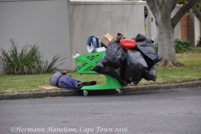 Sidewalk sleeper, garbage scavenger